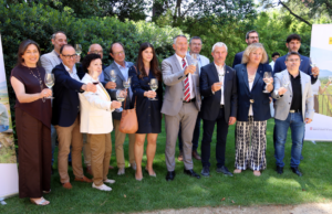 Catalunya vol potenciar l’enoturisme amb la Xarxa de Rutes del Vi