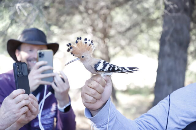 biodiversitat cap salou