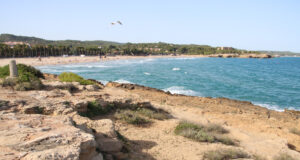 Mor un home atropellat per una màquina de neteja a la platja de l’Arrabassada