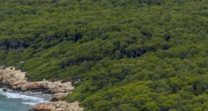 La ruta dels enigmes de Tarragona: 20 quilòmetres entre cales, boscos i misteris