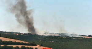 TGN Info | Els Bombers treballen en un incendi de vegetació agrícola a Savallà del Comtat