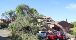Campistes afectats per la tempesta i calamarsada de Tarragona: «Va ser com un apocalipsi»
