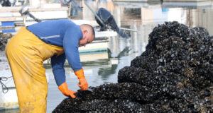 Tarragona Daily | Lleuger augment de l’atur a la demarcació durant el mes de juliol