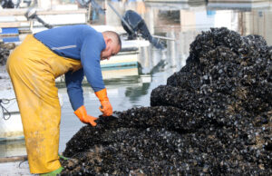Tarragona Daily | Lleuger augment de l’atur a la demarcació durant el mes de juliol