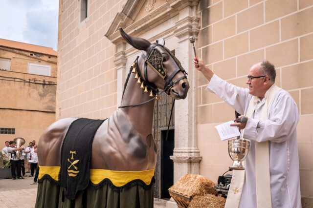 Mulassa la Canonja
