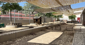 L’AFA de l’Escola l’Arrabassada denuncia que el centre té una plaga d’insectes