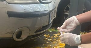 Comienza la recogida de excrementos de perro para poder sancionar a los infractores