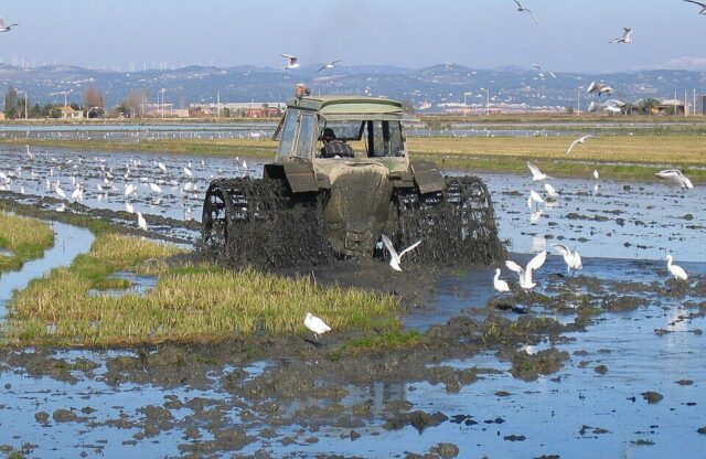 Treball_als_arrossars_camps_darros._Delta_del_riu_Ebre._Catalunya-e1793351706598